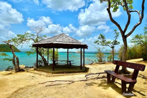 Ближайшие достопримечательности, L'Aparté des hibiscus (L'Aparte des hibiscus) in Ле Труа-Иле