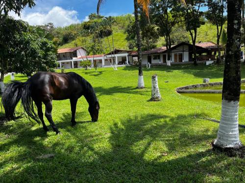 Finca El Saladero
