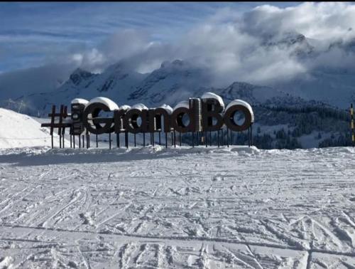 la dryade chinaillon - Location saisonnière - Le Grand-Bornand