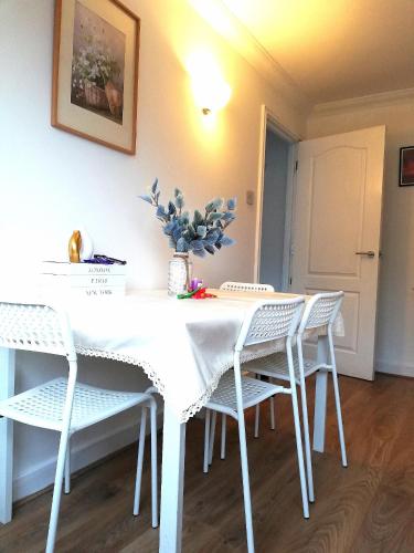 Private Family retreat - Entire Apartment - image 12