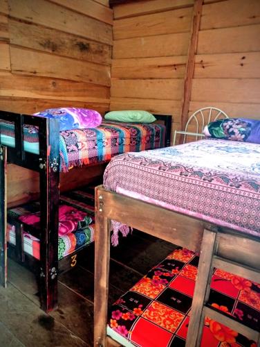2 bunk beds