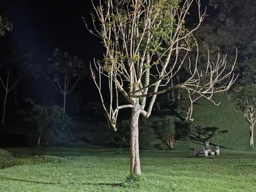 Ninfa del Mar Hostal Turístico (Ninfa del Mar Hostal Turistico) in 马尼萨莱斯