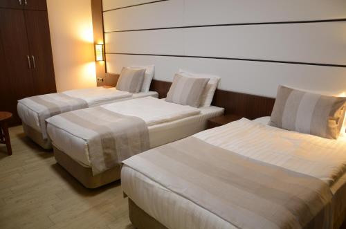 Safa Royal Museum Hotel - image 9