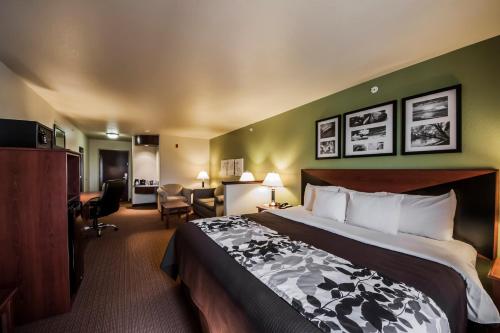 Sleep Inn & Suites Shamrock