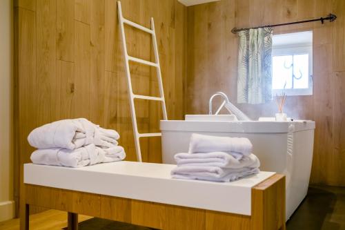 Chambres d'hotes Domaine de Nazere in Avezan