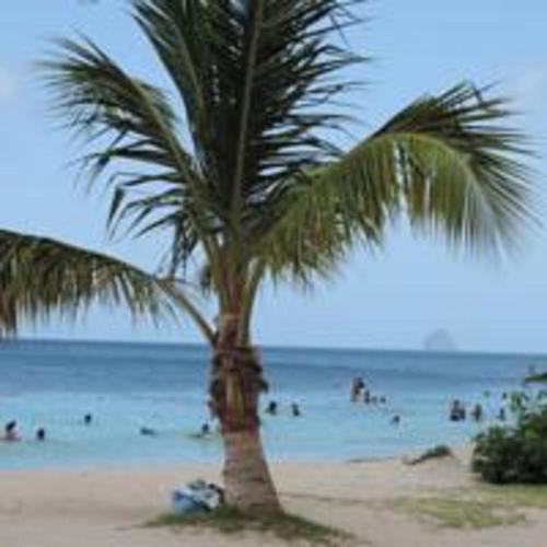 playa, La creola BAYALOCATION in Riviere-Pilote