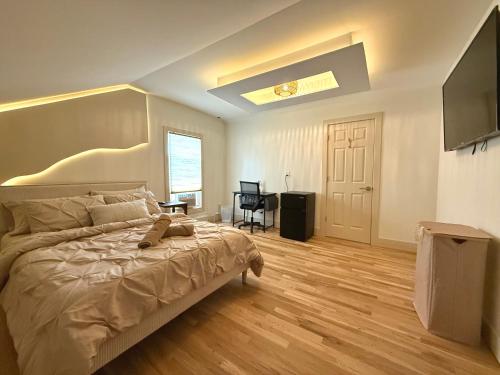 Spring Rooms by Yale & Downtown - main image