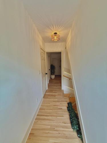 Spring Rooms by Yale & Downtown in 紐哈芬 (CT)