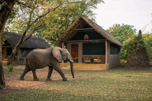 Atpūtas iespējas, Thornicroft Lodge - South Luangwa in Kakumbi