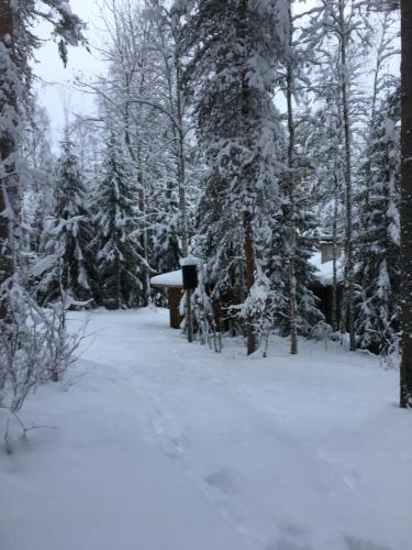 Sports and activities, Cozy apartment in Taka-Toolo in Meilahti