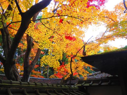 Murasakino Guesthouse