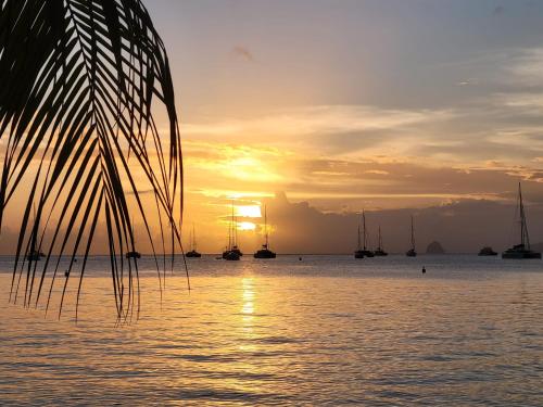 Studio Bord de mer Ti Manman Dlo - Domaine de Belfond - Sainte Anne - Location saisonnière - Sainte-Anne