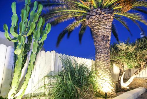 Anamar Blu