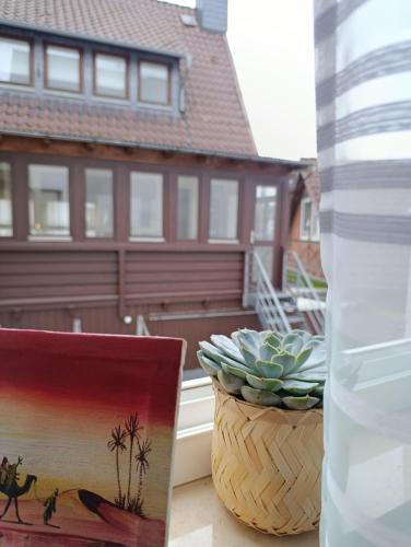 Vistas, RATSSCHÄNKE Südheide (RATSSCHANKE Sudheide) in Gifhorn