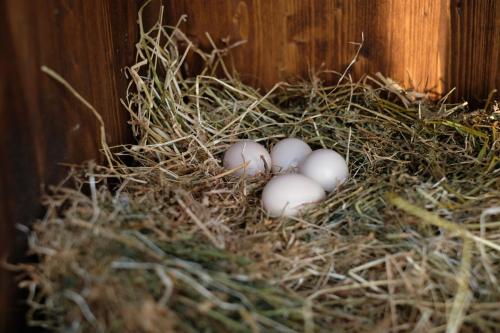 Agriturismo Bisenzio