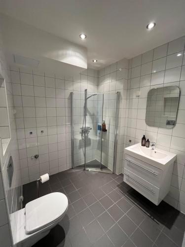 Newly renovated apartment - 15 min from city center in 薩基內