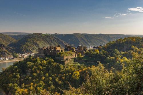 Rheintalblick St Goar Loreley in 聖戈阿爾鎮中心