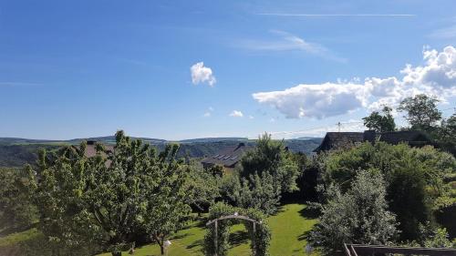 Rheintalblick St Goar Loreley in 聖戈阿爾鎮中心