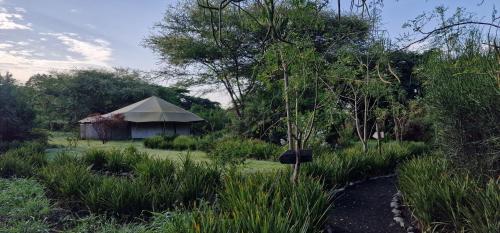 Dolly Farm & River Camp, Luxury Tents Room Type - Luxury Tent