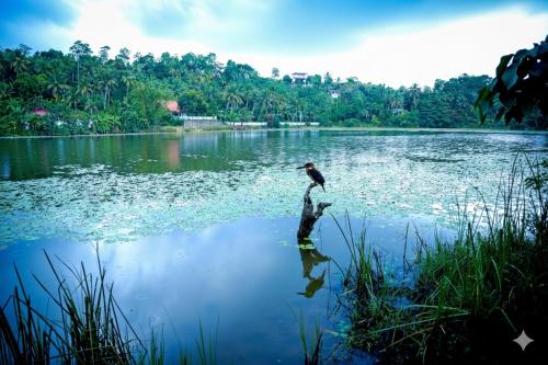 Jayaweera Eco Resort – khách sạn tại Diyagahagewatta