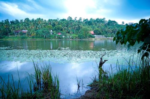 Jayaweera Eco Resort - image 5