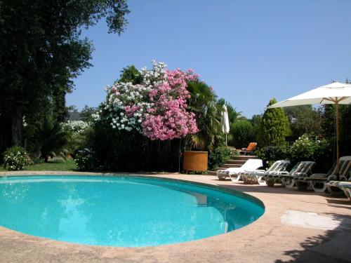 L'Amandari - Provence holidays - Chambres d'hôtes avec jardin, piscine, jacuzzi, climatisation