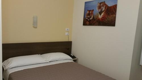 Foto - Hotel Tommaseo