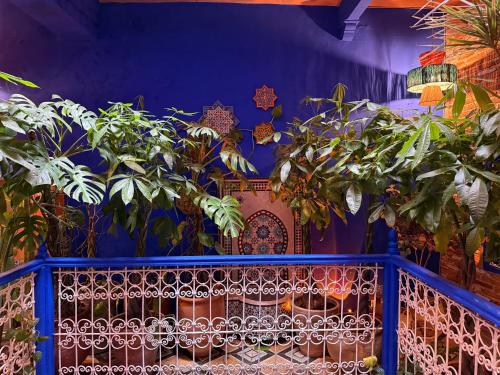 Casa Amina in Chefchaouen