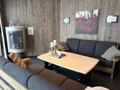 Cozy Couples or Family Retreat - Hemsedal in 汉斯道尔