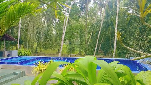 WG Villa Wathurugama in Dompe