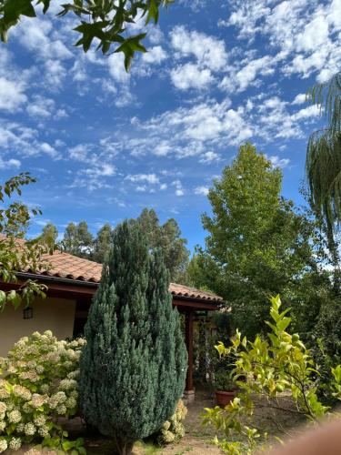 Alojamiento Los Nogales in Santa Cruz