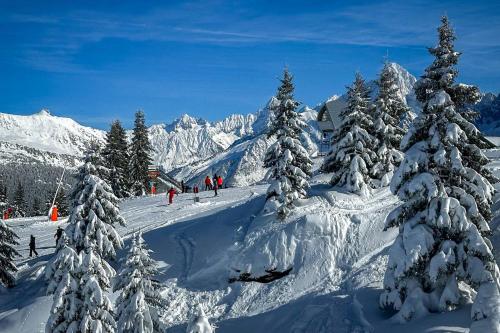 Attractions, Chalet Les Frenes in Les Praz d'en Bas