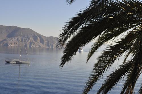 Palm Tree Studio Symi