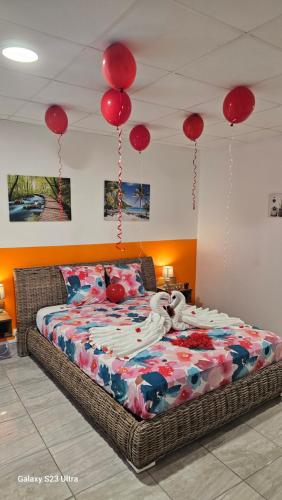 LE TRIDENT DES S - Appartement 4 à 5min des plages et de la ville - Location saisonnière - Saint-François