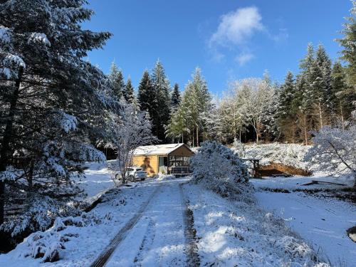 Chalet dans la nature in Combressol