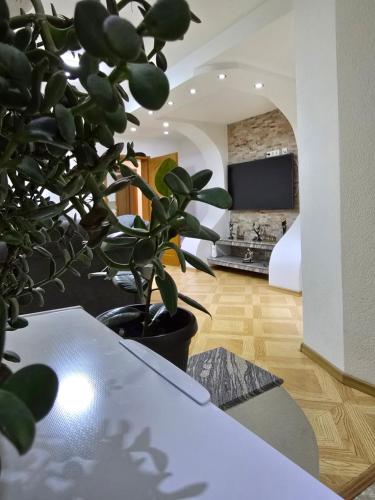 Teo FAMILY APARTMENT TUZLA