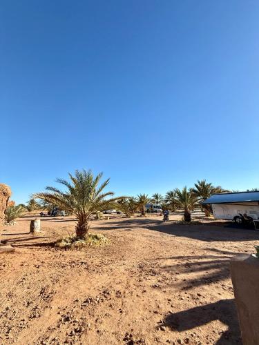 Camping Les Palmeraies - Oasis Escape Tagounite in Tagounite