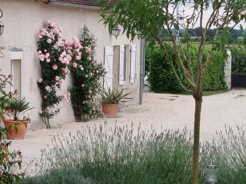 Gîte Rural au Cœur du Berry avec Terrasse et Chevaux Bienvenus - FR-1-591-733 gîte à louer Saint-Julien
