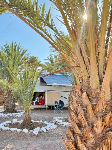 Camping Les Palmeraies - Oasis Escape Tagounite in Tagounite