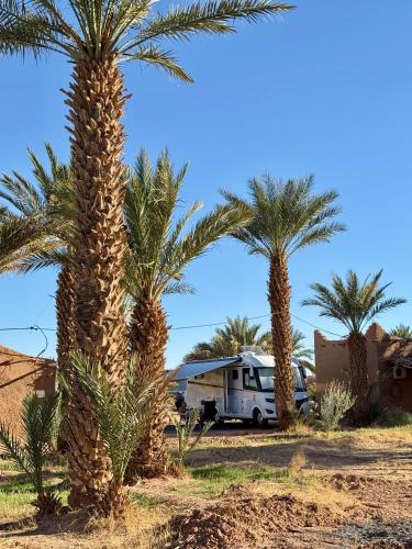 Camping Les Palmeraies - Oasis Escape Tagounite in Tagounite