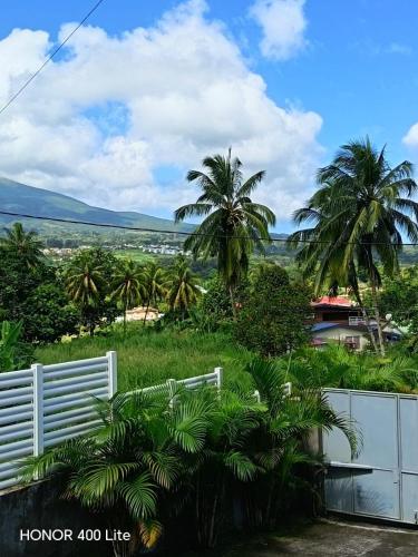 VERTCALM in Basse-Pointe
