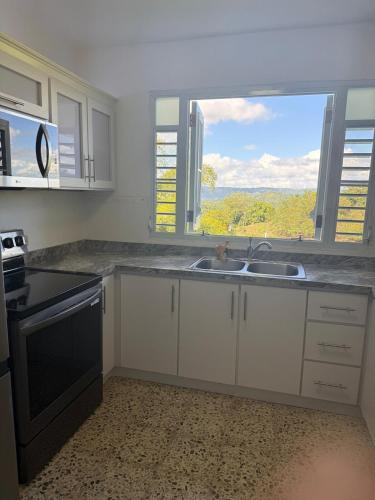 Paraíso Tropical de Utuado- 4 Bedroom (Paraiso Tropical de Utuado- 4 Bedroom) in Utuado