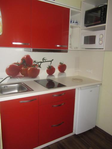 Warmbad Apartments - image 14