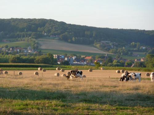 Entre monts et collines B&B et espace détente