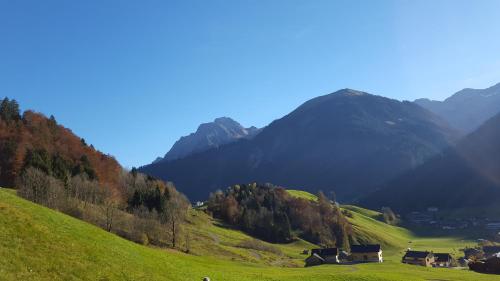 Haus Jelini