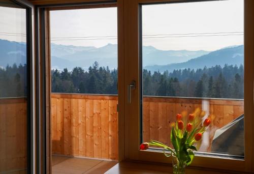 Kilátás, Ferienwohnung Vögel (Ferienwohnung Vogel) in Langenegg