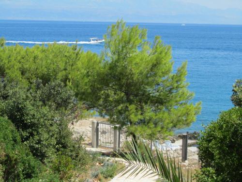 House at the Beach