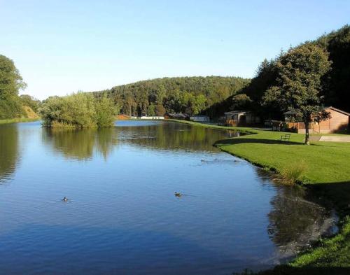 Holiday Cabin sleeps 5 Pets Edinburgh Festival in Данбар
