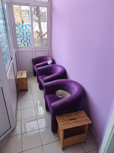 베오그라드 TARAS Hostel 호텔 수영장