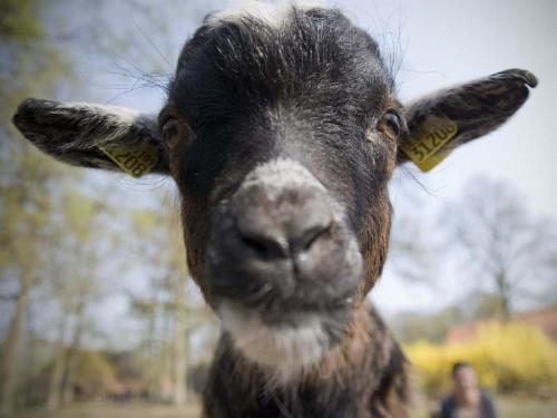 Muehlenhof-Soderstorf-Wohnung-C in 阿默靈豪森